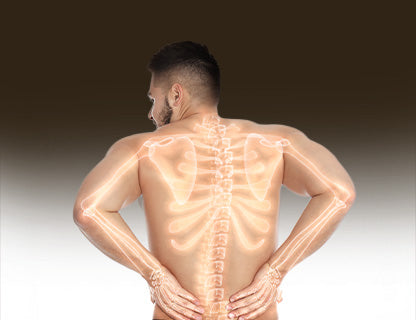 ... unterstützt die Abläufe in deinem Körper