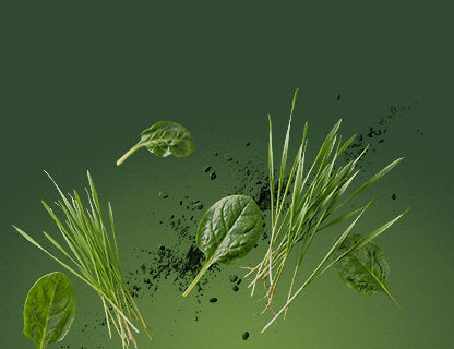 Vielfältige Superfoods