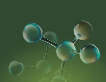 Bioaktive B-Vitamine
