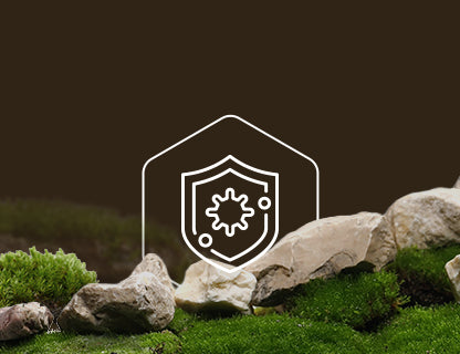 Selen, der Immun-Schutzschild