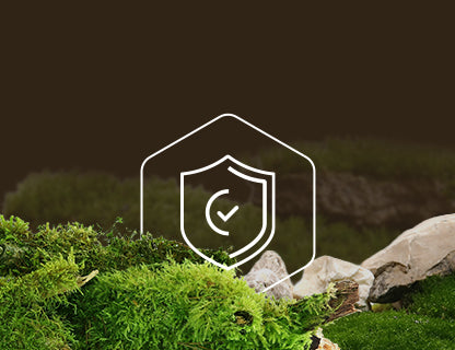 L-Glutathion, der innere Schutzschild