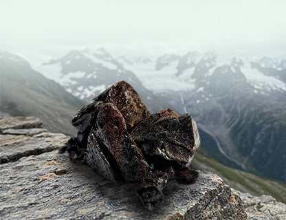 Die Huminsäuren -Quelle aus der Natur